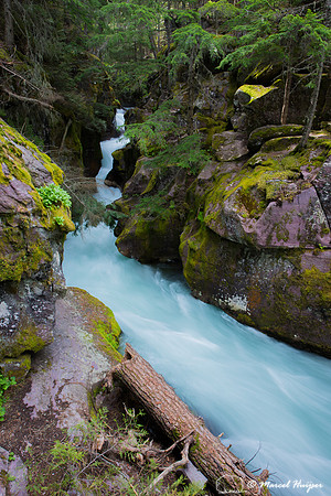Avalanche Creek, Glacier National park, Montana, USA