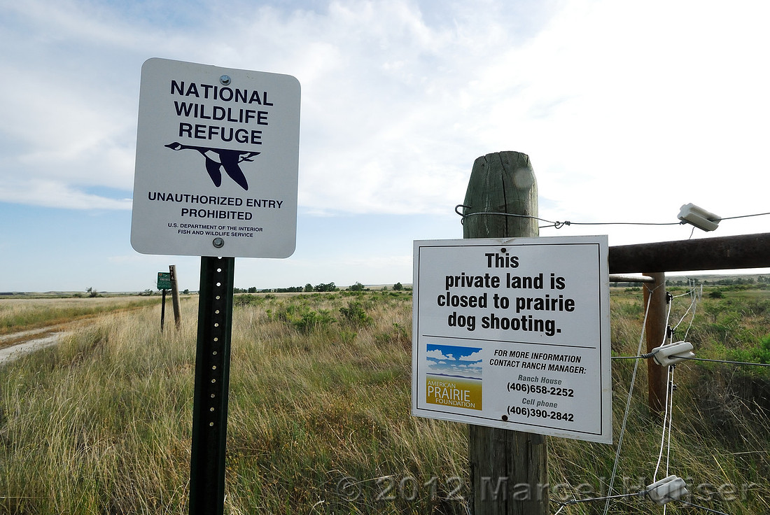 Road sign American Prairie Reserve, This land is closed to prairie dog shooting, near Sun Prairie, Montana, USA