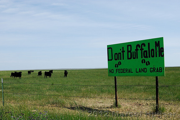 Don't buffalo me, no federal land grab, near Sun Prairie, Montana, USA