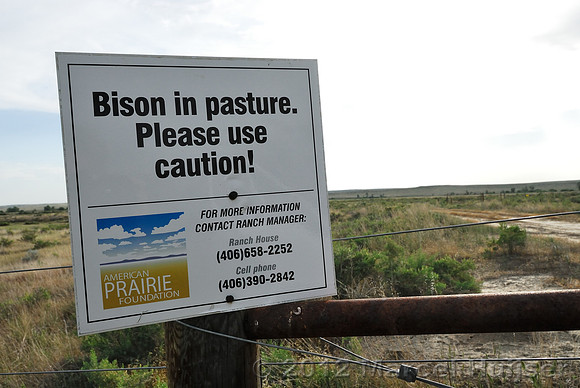 Road sign American Prairie Reserve Bison in pasture, please use caution, near Sun Prairie, Montana, USA