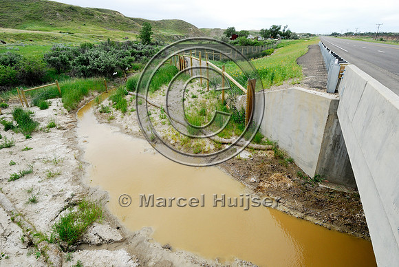 Wildlife underpass, fencing and jump-outs, near Havre, Montana, USA