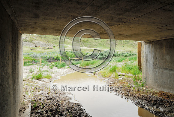 Wildlife underpass, fencing and jump-outs, near Havre, Montana, USA
