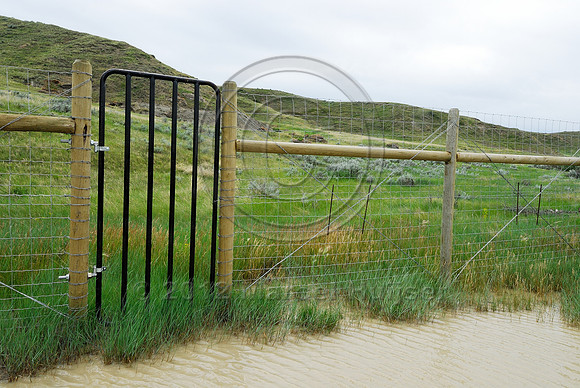 Wildlife fence and gate associated with an underpass, near Havre, Montana, USA