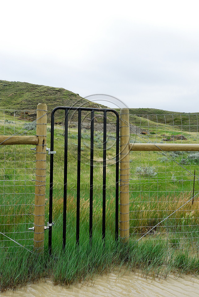 Wildlife fence and gate associated with an underpass, near Havre, Montana, USA