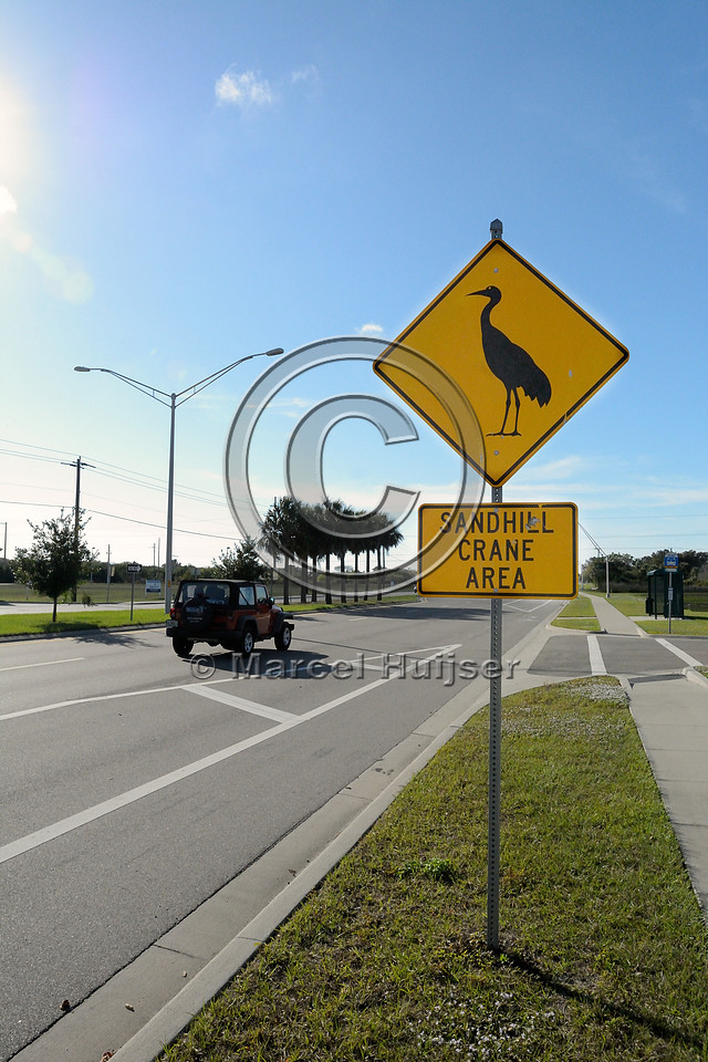 Wildlife warning sign, sandhill crane area, near Fort Myers, Florida, USA