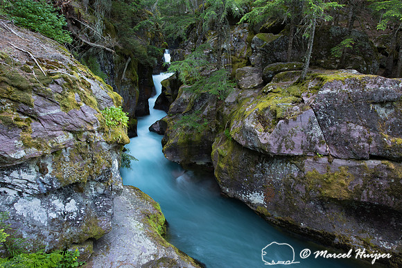 Avalanche Creek, Glacier National Park, Montana, USA