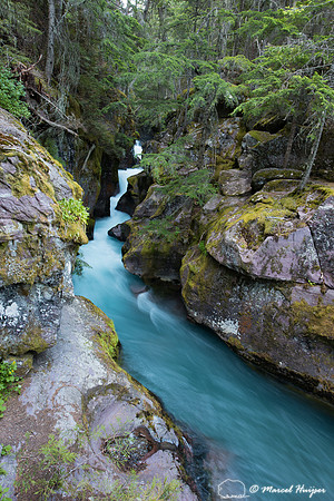 Avalanche Creek, Glacier National Park, Montana, USA