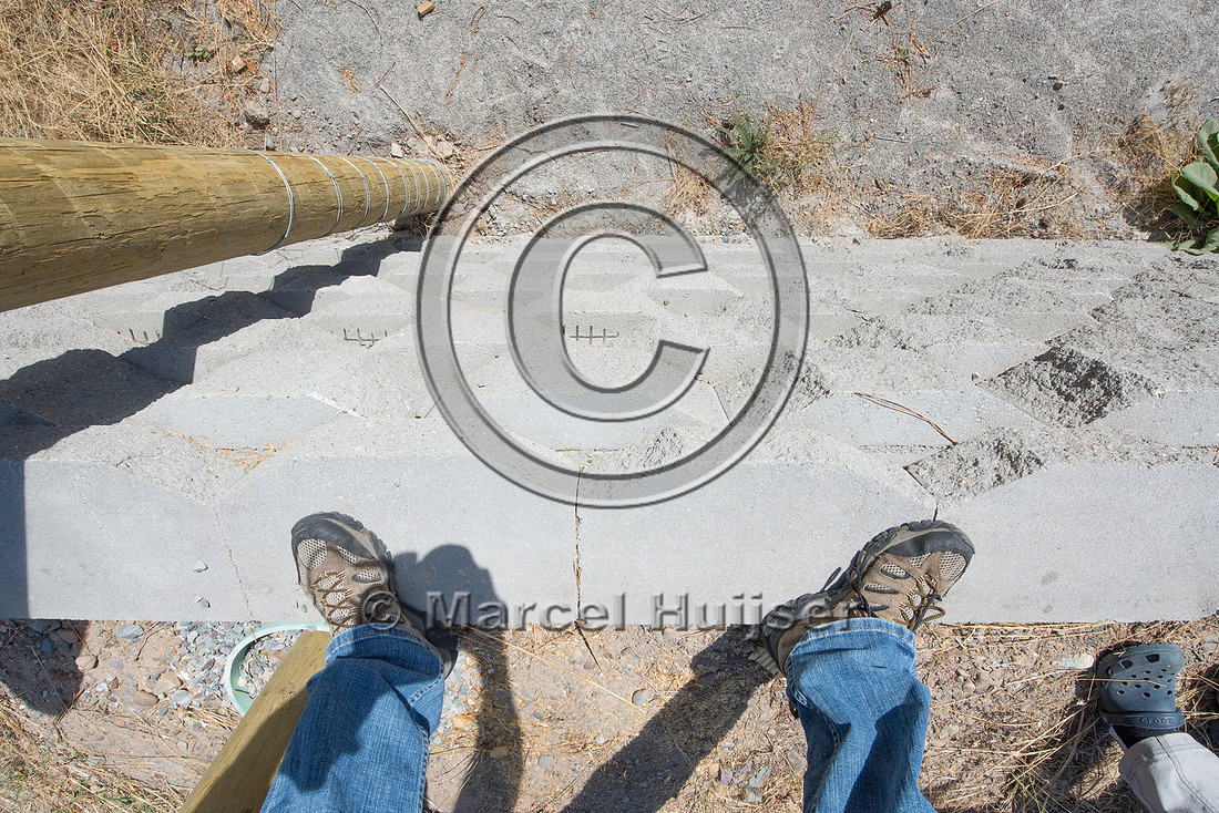 Wildlife jump-out for bighorn sheep (Ovis canadensis), near Thom
