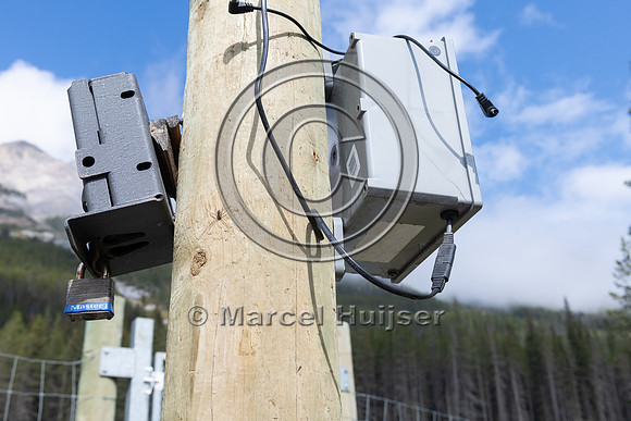 Electrified barrier to keep bears off the highway, exit Lake O'H