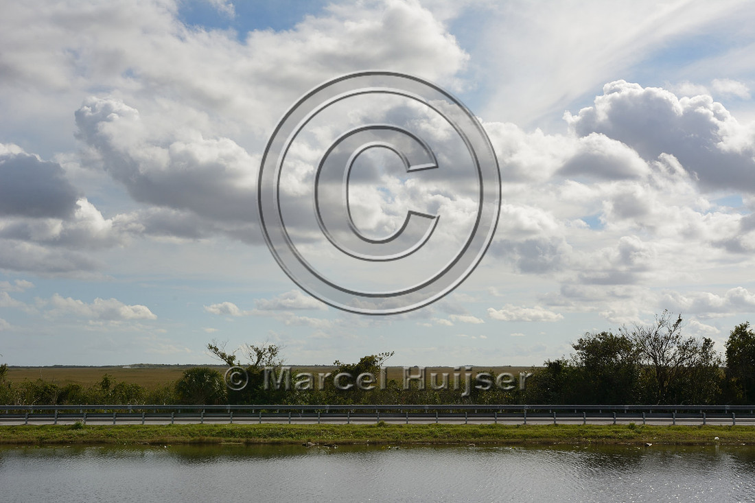 Unmitigated section of the Tamiami Trail (US Hwy 41) blocking sheet flow from north to south in this section of the Everglades ecosystem, near Shark Valley, Florida, USA