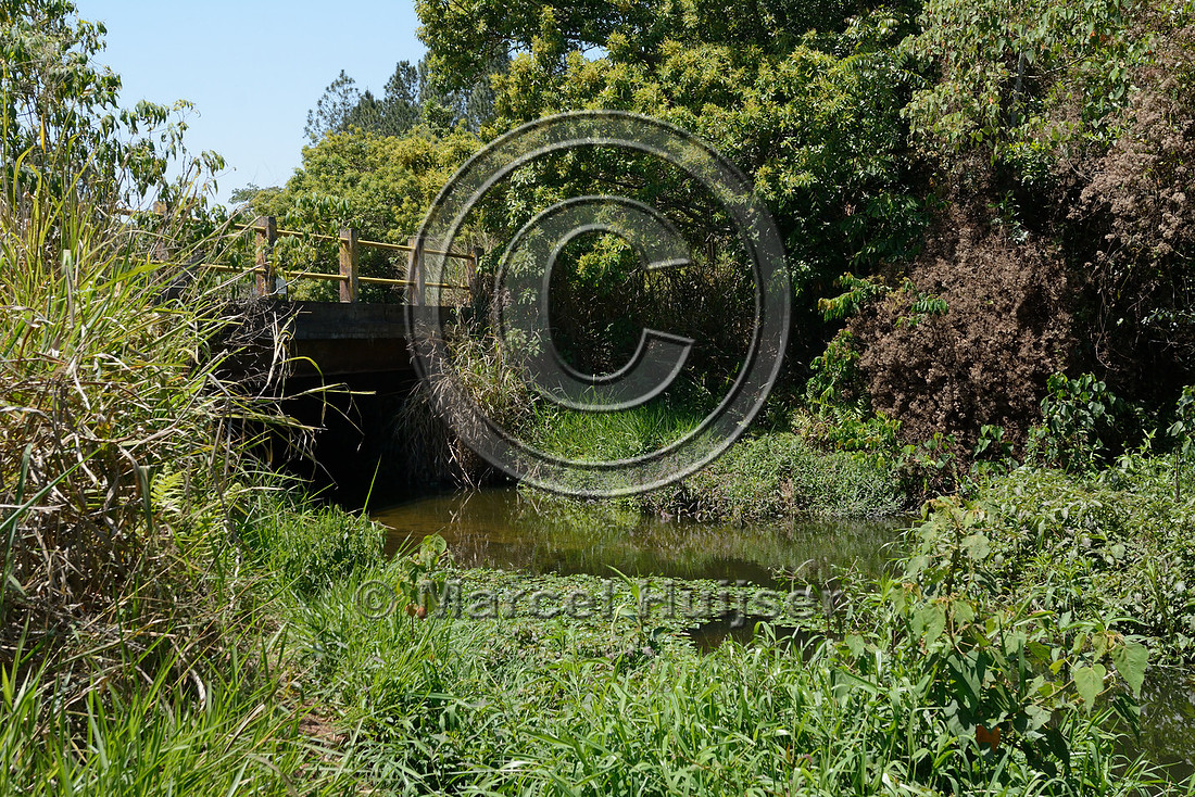 Bridge across the southern stream crossing (Córrego Água Branca), Itirapina Ecological Reserve, São Paulo, Brazil