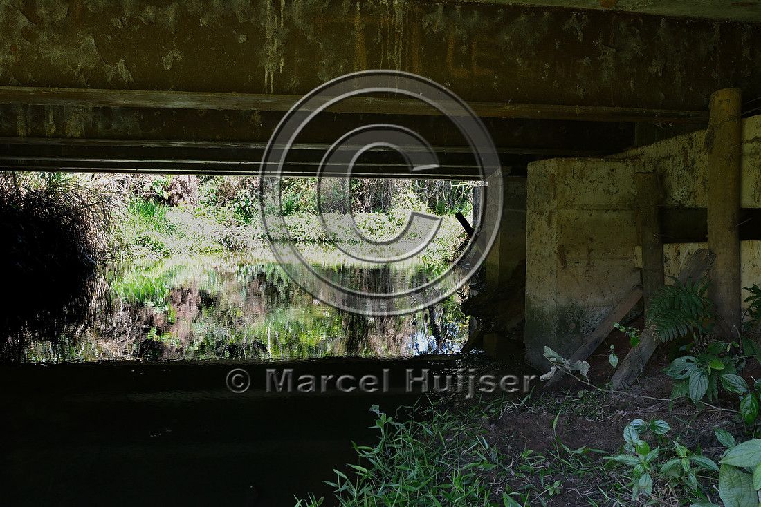 Bridge across the southern stream crossing (Córrego Água Branca), Itirapina Ecological Reserve, São Paulo, Brazil
