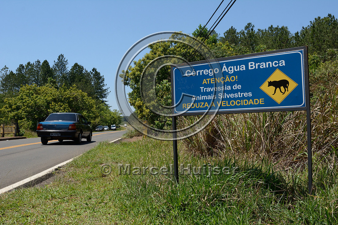 Wildlife warning sign for maned wolf, southern stream crossing (Córrego Água Branca), Itirapina Ecological Reserve, São Paulo, Brazil