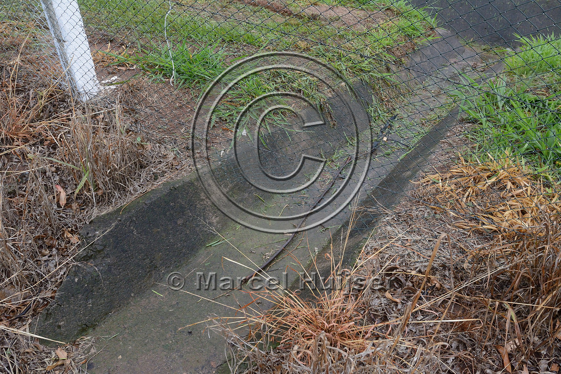 Gutter for drainage results in a gap under a wildlife fence, SP-225 motorway, near Brotas, São Paulo, Brazil