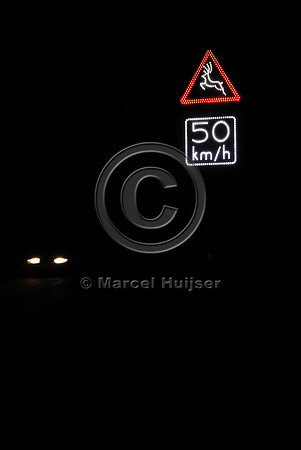 Animal detection system at night, Harderwijk, The Netherlands