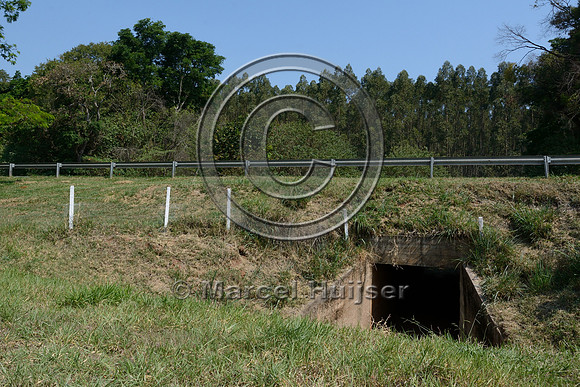 Wildlife underpass that is not level with the surrounding landscape, SP-225, near Brotas, São Paulo, Brazil