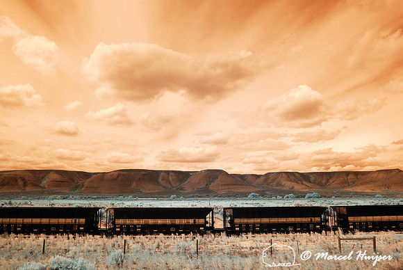 Railroad cars near Bridger, Montana, USA