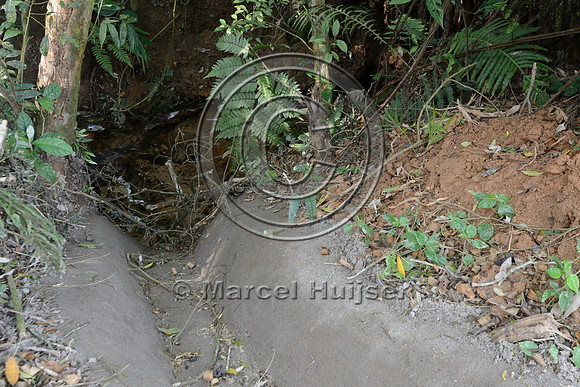 Road runoff is drained into stream, Parque Estadual 'Carlos Botelho', São Paulo, Brazil