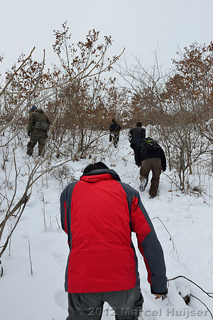 Snowtracking an Amur tiger (Panthera tigris altaica) that killed and ate a dog of a farmer, Jilin Province, China
