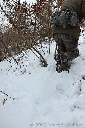 Snowtracking an Amur tiger (Panthera tigris altaica) that killed and ate a dog of a farmer, Jilin Province, China
