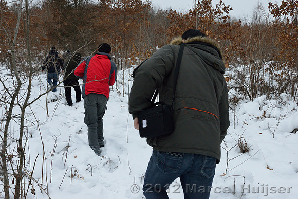 Snowtracking an Amur tiger (Panthera tigris altaica) that killed and ate a dog of a farmer, Jilin Province, China