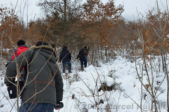Snowtracking an Amur tiger (Panthera tigris altaica) that killed and ate a dog of a farmer, Jilin Province, China
