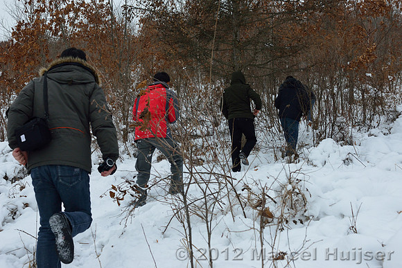 Snowtracking an Amur tiger (Panthera tigris altaica) that killed and ate a dog of a farmer, Jilin Province, China