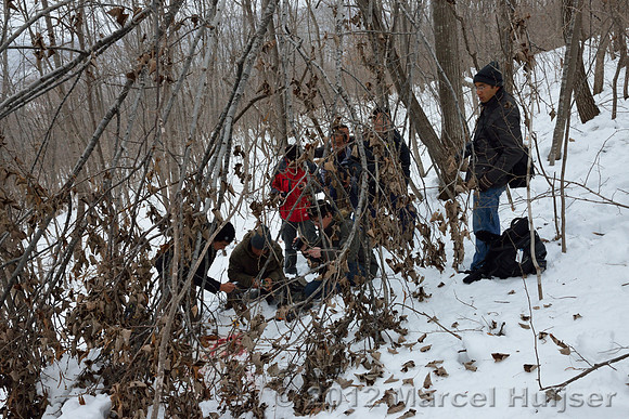 Investigation of tracks and other signs at the first site where an Amur tiger (Panthera tigris altaica) killed and ate a dog, Jilin Province, China