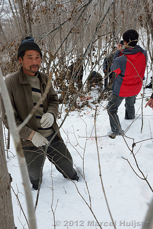 Investigation of tracks and other signs at the first site where an Amur tiger (Panthera tigris altaica) killed and ate a dog, Jilin Province, China