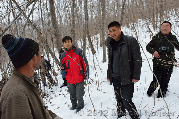 Investigation of tracks and other signs at the first site where an Amur tiger (Panthera tigris altaica) killed and ate a dog, Jilin Province, China