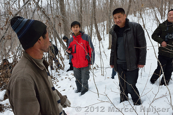 Investigation of tracks and other signs at the first site where an Amur tiger (Panthera tigris altaica) killed and ate a dog, Jilin Province, China