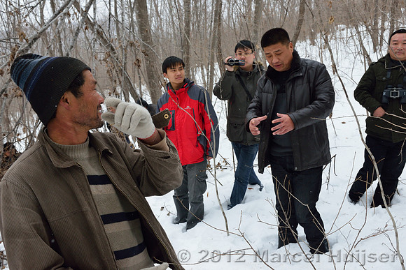 Investigation of tracks and other signs at the first site where an Amur tiger (Panthera tigris altaica) killed and ate a dog, Jilin Province, China