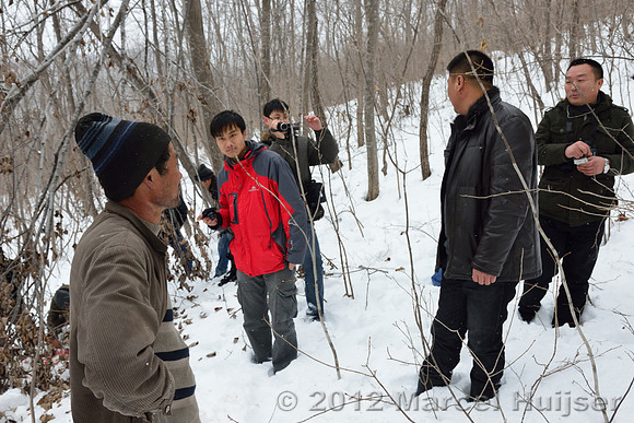 Investigation of tracks and other signs at the first site where an Amur tiger (Panthera tigris altaica) killed and ate a dog, Jilin Province, China