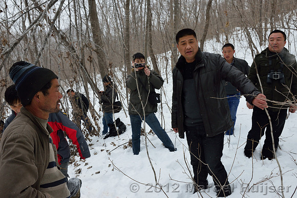 Investigation of tracks and other signs at the first site where an Amur tiger (Panthera tigris altaica) killed and ate a dog, Jilin Province, China