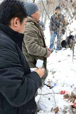 Investigation of tracks and other signs at the first site where an Amur tiger (Panthera tigris altaica) killed and ate a dog, Jilin Province, China