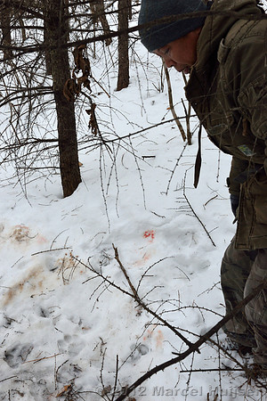 Second site where an Amur tiger (Panthera tigris altaica) killed and ate a dog of a farmer, Jilin Province, China