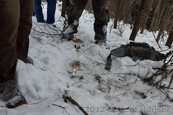 Second site where an Amur tiger (Panthera tigris altaica) killed and ate a dog of a farmer, Jilin Province, China