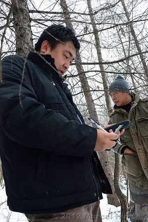 Second site where an Amur tiger (Panthera tigris altaica) killed and ate a dog of a farmer, Jilin Province, China