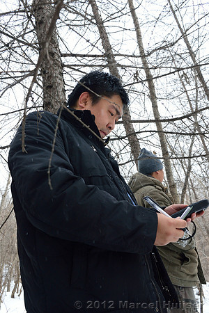Second site where an Amur tiger (Panthera tigris altaica) killed and ate a dog of a farmer, Jilin Province, China