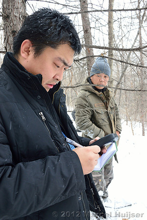 Second site where an Amur tiger (Panthera tigris altaica) killed and ate a dog of a farmer, Jilin Province, China