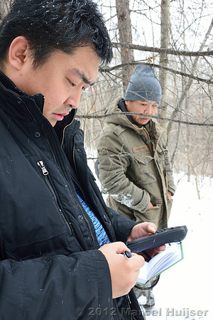 Second site where an Amur tiger (Panthera tigris altaica) killed and ate a dog of a farmer, Jilin Province, China