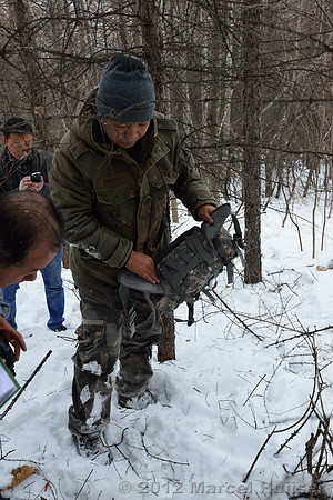 Second site where an Amur tiger (Panthera tigris altaica) killed and ate a dog of a farmer, Jilin Province, China