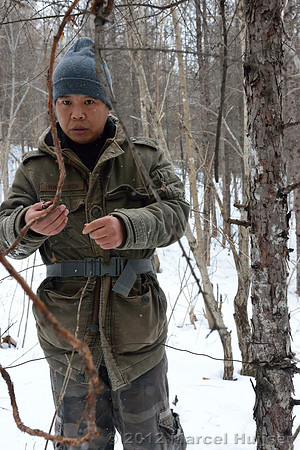 Removal of an old snare encountered while snow tracking an Amur tiger (Panthera tigris altaica) that killed and ate a dog of a farmer, Jilin Province, China