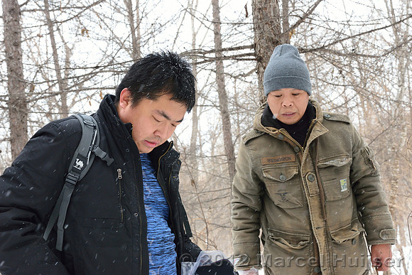 Third site where an Amur tiger (Panthera tigris altaica) ate a dog of a farmer, Jilin Province, China