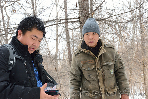 Third site where an Amur tiger (Panthera tigris altaica) ate a dog of a farmer, Jilin Province, China