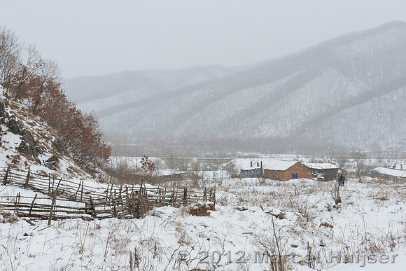 Walking back to the farm, Jilin Province, China