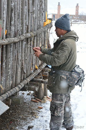 Removing snares and traps (potentially old, potentially removed from forest by farmer) from a shed at the farm, Jilin Province, China