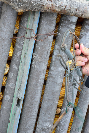 Removing snares and traps (potentially old, potentially removed from forest by farmer) from a shed at the farm, Jilin Province, China