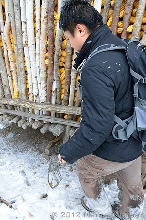 Removing snares and traps (potentially old, potentially removed from forest by farmer) from a shed at the farm, Jilin Province, China