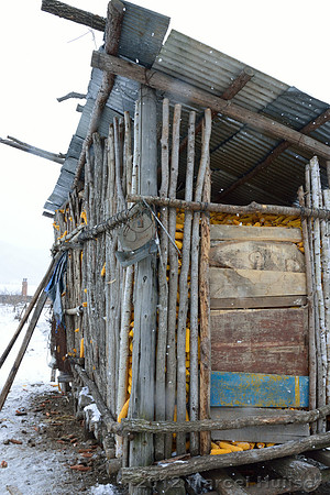 Corn storage in a shed at the farm, Jilin Province, China